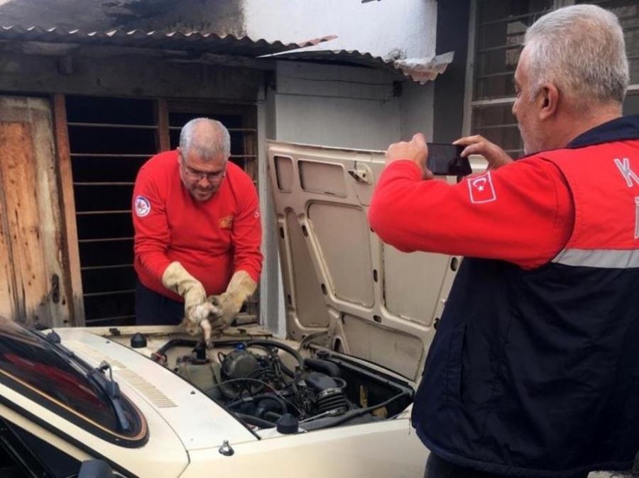 Otomobilin motor bölümünde sıkışan kedi yavrusunu itfaiye kurtardı