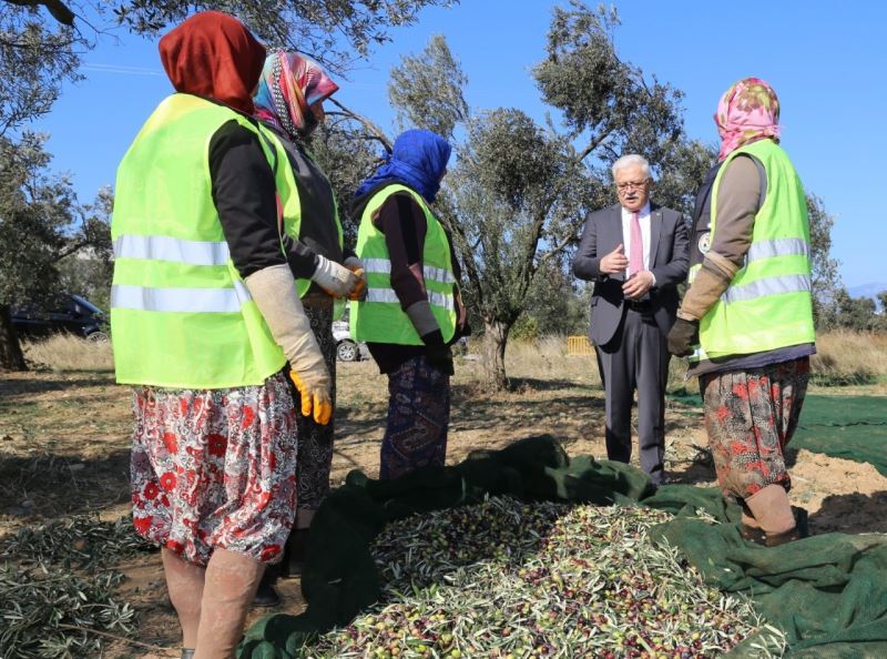 Burhaniye’de Başkan Deveciler zeytin işçileri ile buluştu
