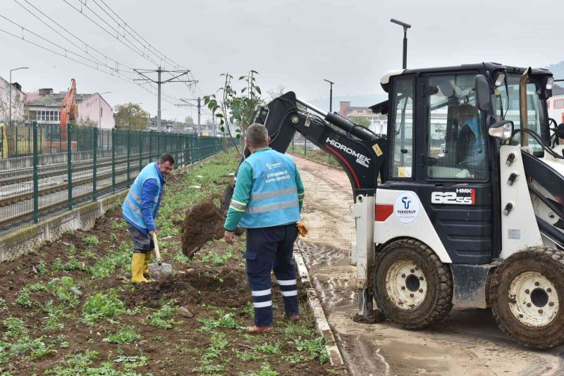 Tekkeköy’de 1500 fidan toprakla buluştu
