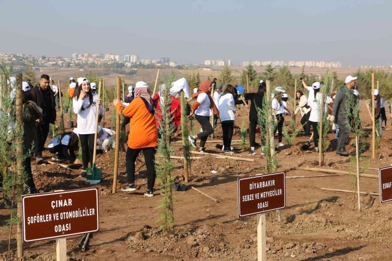 Yüzde 24’ü ormanlık olan Diyarbakır’a 4 bin yeni fidan
