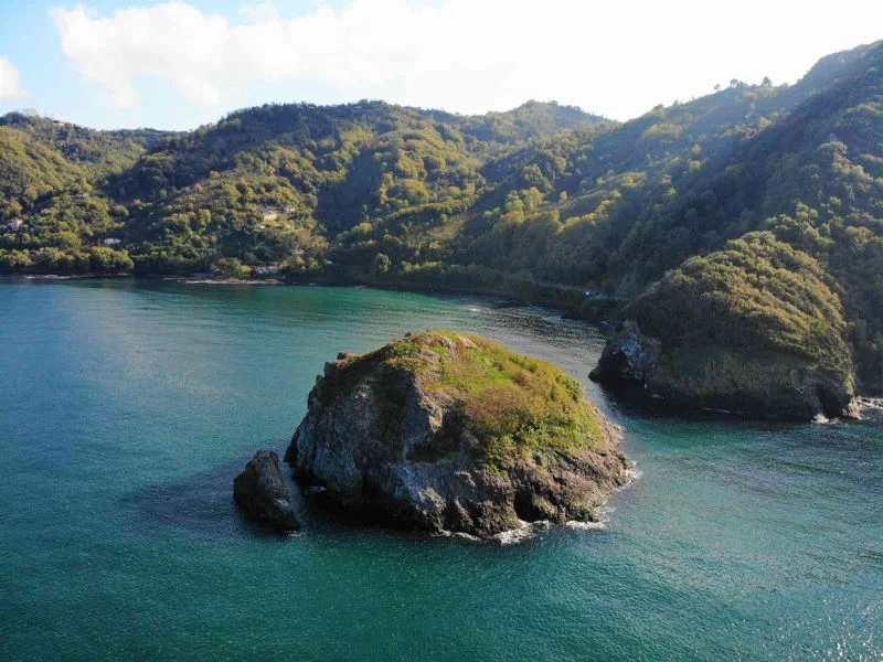 Ordu’nun kuş cenneti: Hoynat Adası
