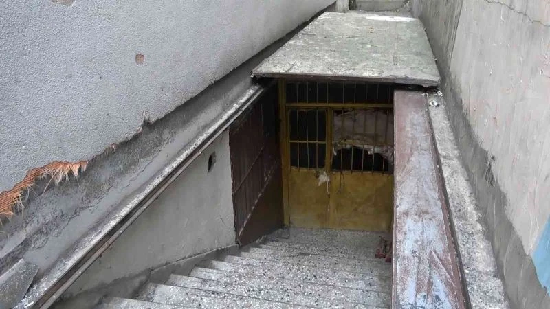  Teröristin saklandığı binada oturan vatandaş: “Burası kamufle olmak için çok güzel bir bölge her türlü insana rastlamak mümkün”
