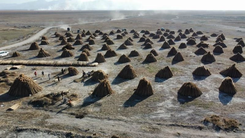  5 aylık kamış sezonunda 1 milyon dolarlık ihracat yapıyorlar
