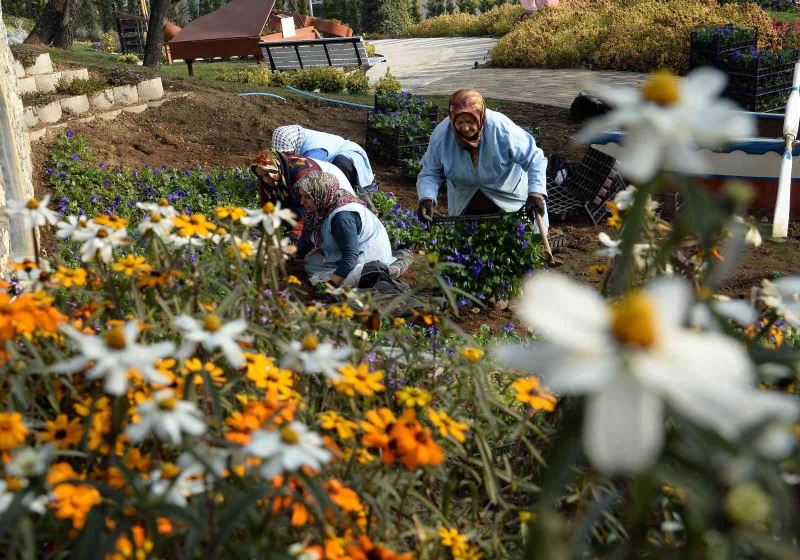 Macera Bursa kış çiçekleriyle yenileniyor
