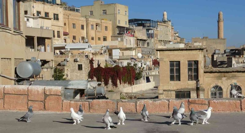 Mardin’de taklacılar tescil edilmeyi bekliyor
