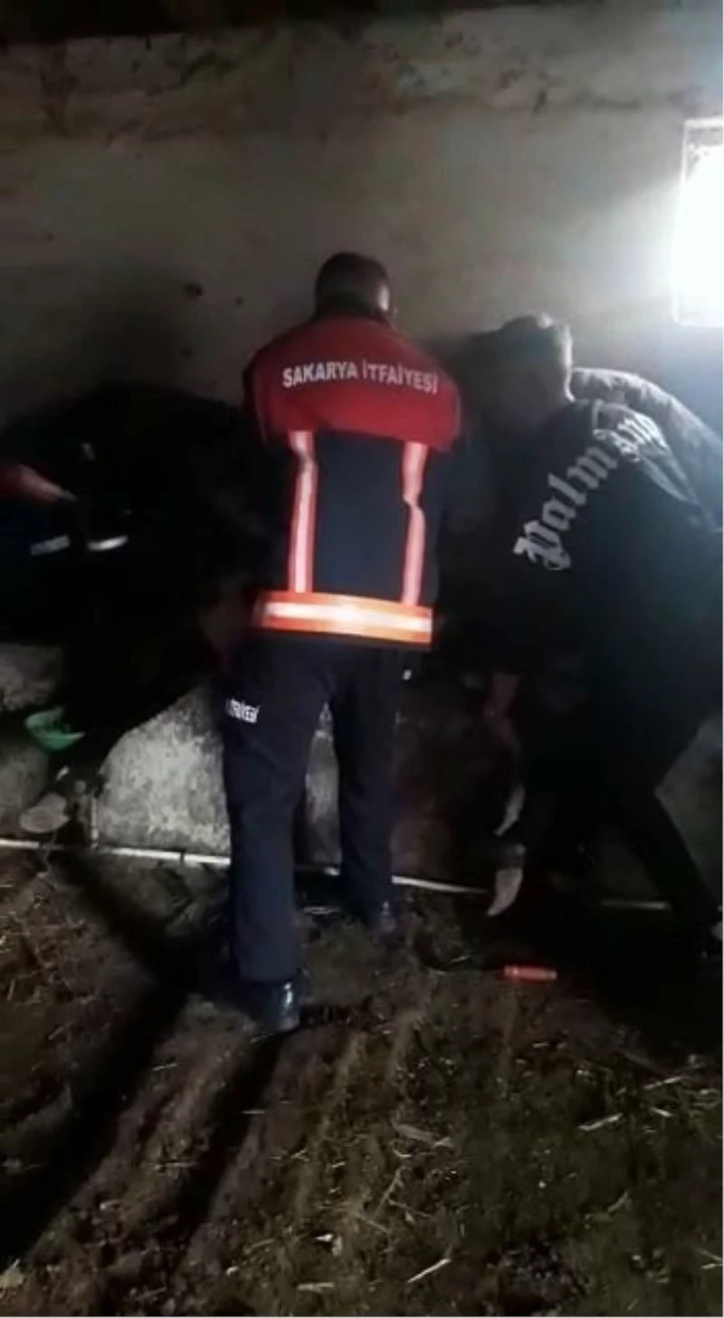 Yemliğe düşerek sıkışan ineği itfaiye kurtardı
