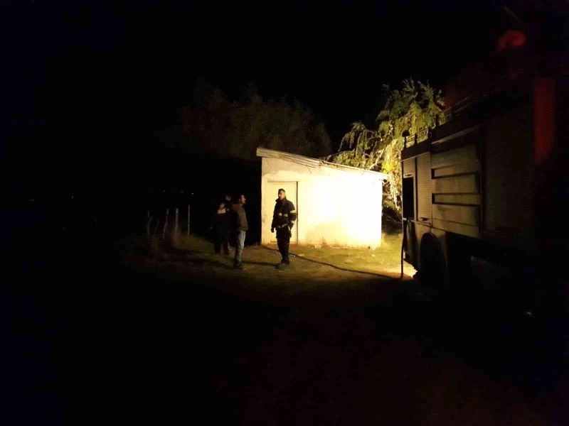 Yanan ağaç, bağ evine sirayet etmeden söndürüldü
