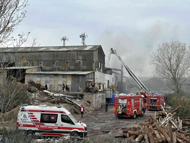 Pendik’te çinko ve kaplama fabrikası alevlere teslim oldu
