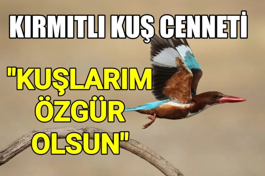 Kırmıtlı kuş cenneti : “cenneti cehenneme çevirmeyin”  