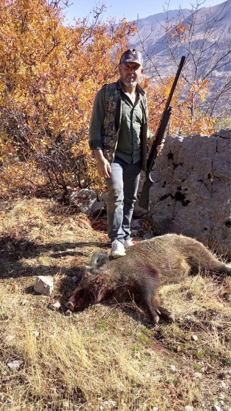 Sincik’te domuz avı yapıldı
