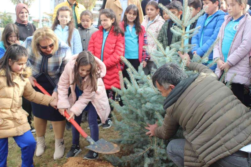 Vali Ergün’ün öğretmen eşi ‘Öğretmenler Günü’nü fidan dikerek kutladı
