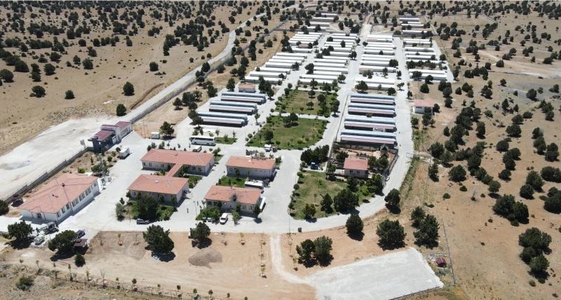 Konya’daki hayvana eziyet olayı ile ilgili soruşturma başlatıldı
