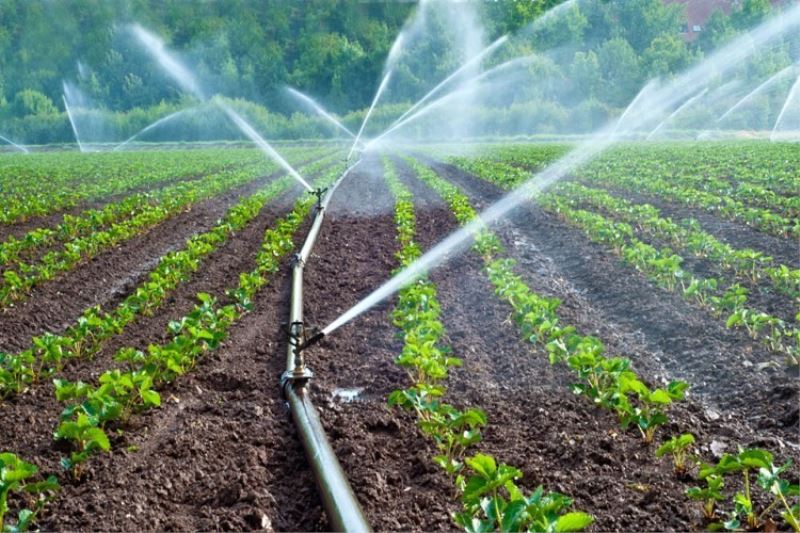 Denizli’de 259 çiftçiye bireysel sulama sistemi desteği verildi
