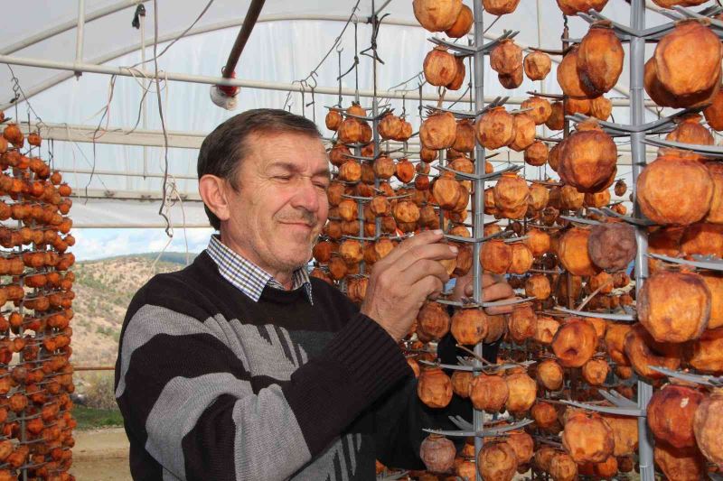  Kurutmaya bıraktıkları cennet hurmalarına adeta çocuk gibi bakıyorlar
