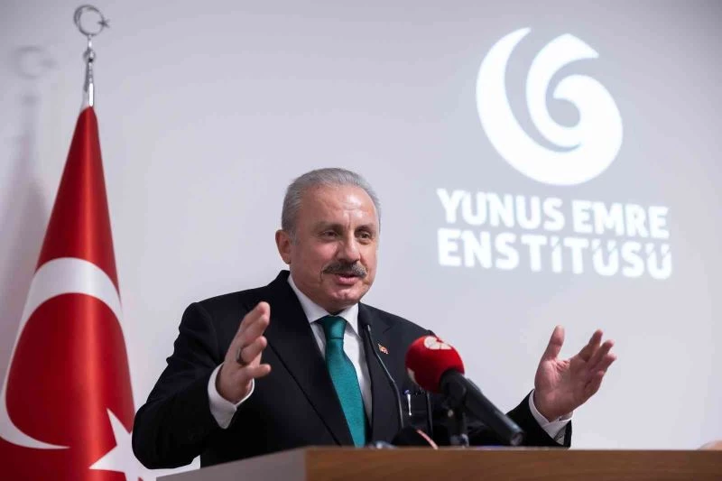 TBMM Başkanı Şentop, Viyana’da Türk sivil toplum kuruluşlarının temsilcileriyle görüştü
