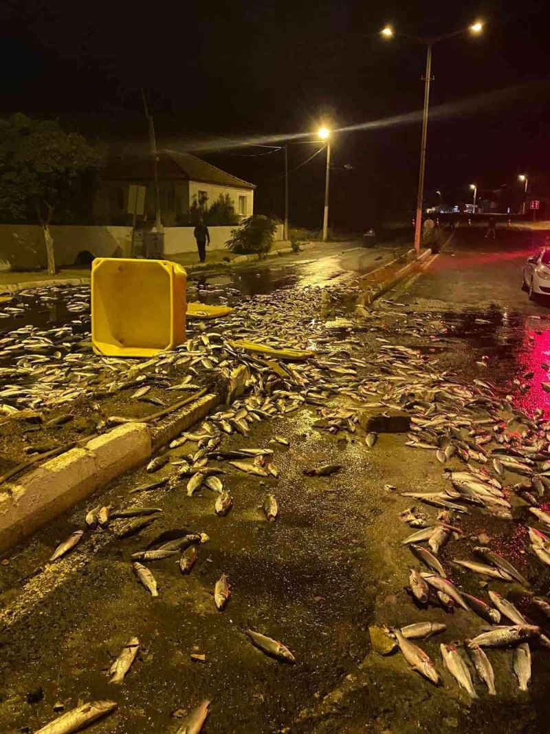 Kamyon okul duvarına çarptı, kasadaki yüzlerce kilo balık yola saçıldı
