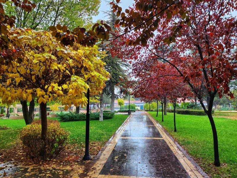 Kampüste sonbahar güzelliği
