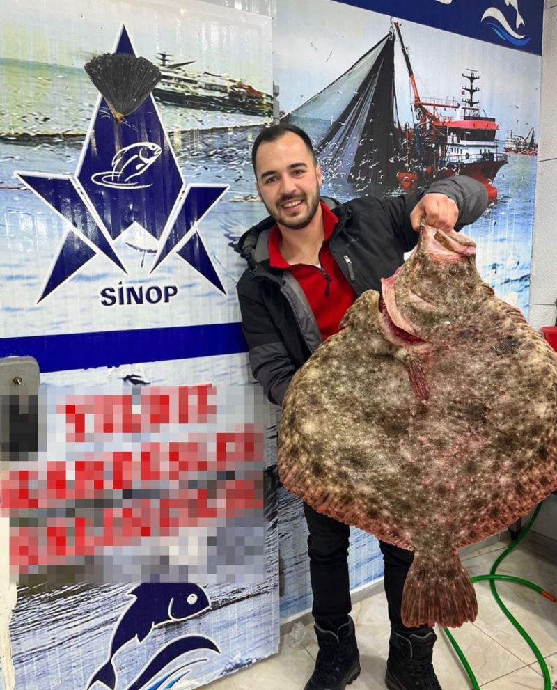 Karadeniz’de avlanan dev kalkan balığı 6 bin TL’ye satıldı
