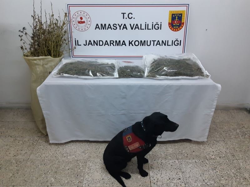 ‘Puslu’ 4 kilo uyuşturucuyu saklandığı yerde buldu
