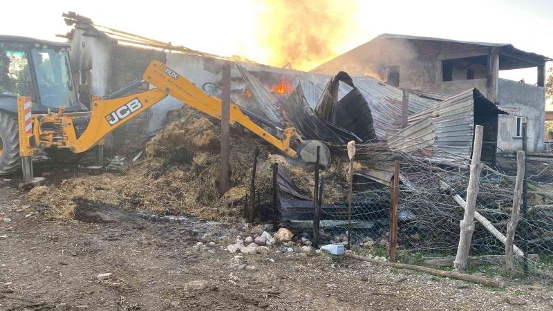 Çanakkale’de samanlık yangını: 6 inek telef oldu
