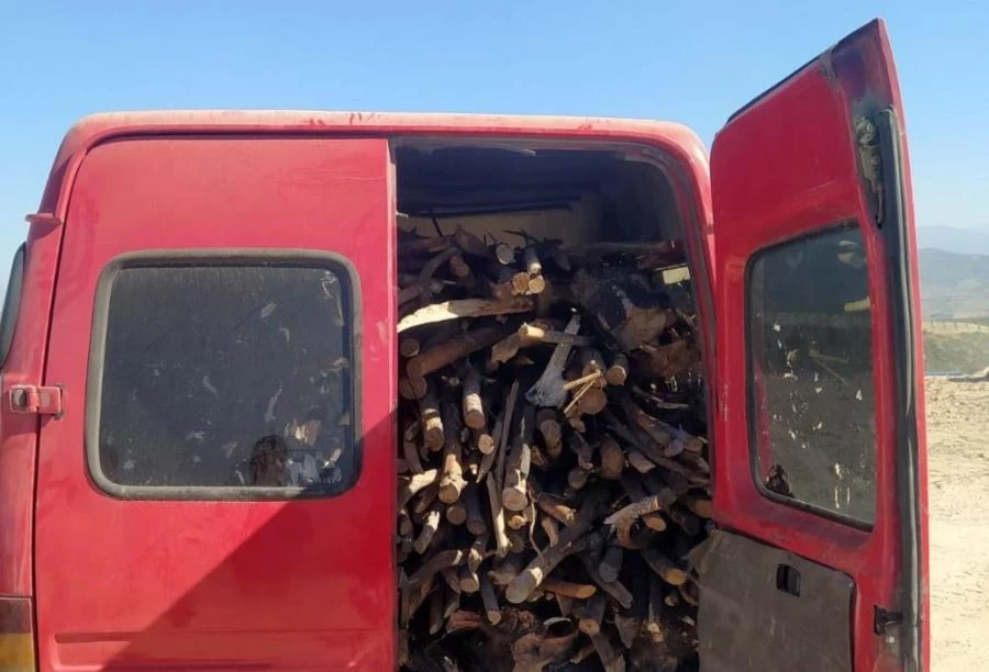 Ormanda kaçak kesim yapan 12 kişiye 24 bin lira ceza kesildi