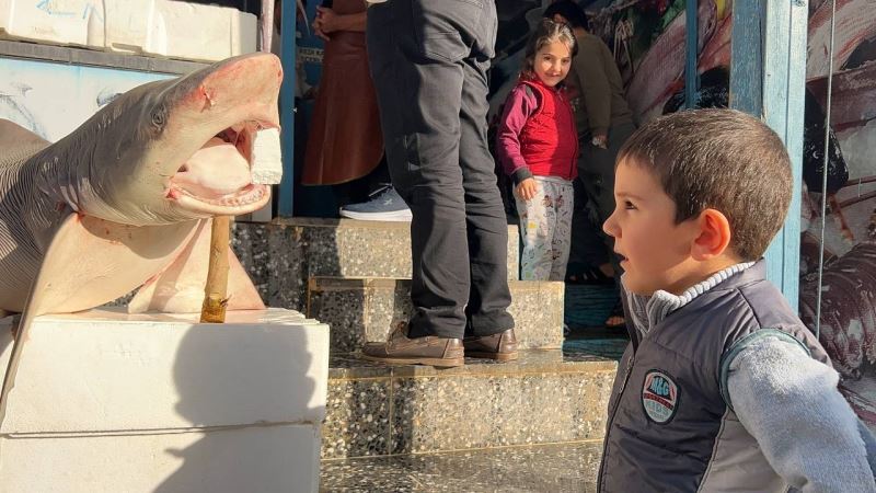 Şanlıurfa’da köpekbalığı şaşkınlığı
