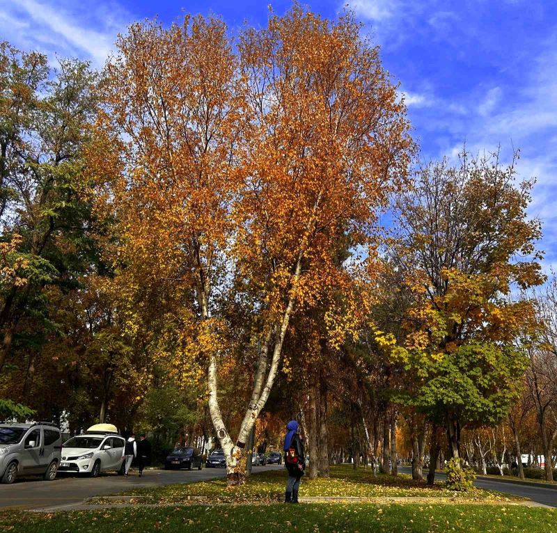 Erzurum’da sonbahar manzarası büyülüyor
