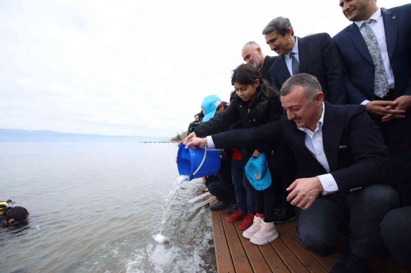 İzmit Körfezi’ne 6 bin balık daha bırakıldı: Adım adım izlenebilecekler
