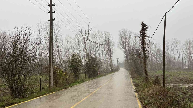 Çan’da fırtına nedeniyle ağaç dalı yüksek gerilim hattı üstüne devrildi
