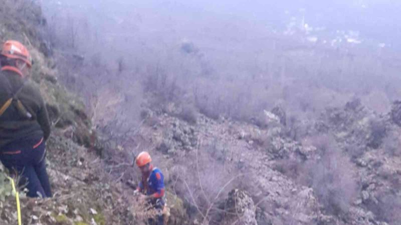 Diyarbakır’da kayalıklarda mahsur kalan inek AFAD ekiplerince kurtarıldı

