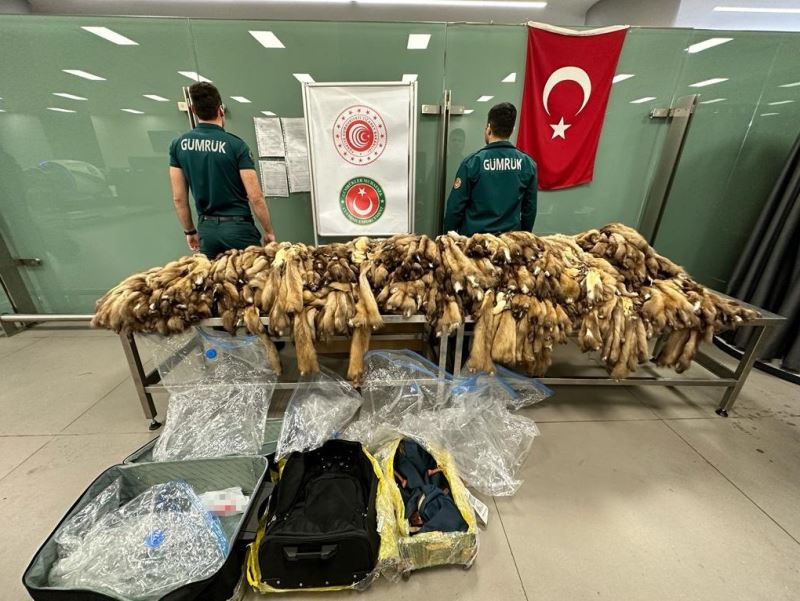 İstanbul Havalimanı’nda samur postu ele geçirildi
