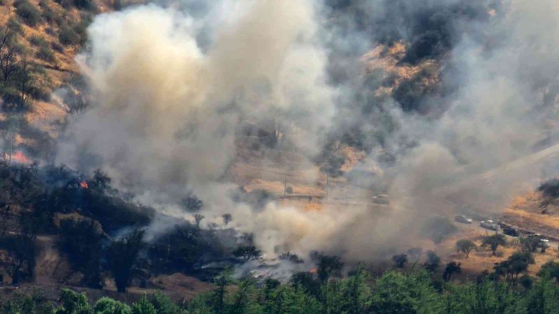 Şili’de orman yangınları artıyor: 7 bin hektardan fazla alan küle döndü
