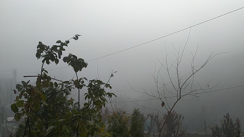 Silvan’da yoğun sis, görüş mesafesini 20 metrenin altına düşürdü
