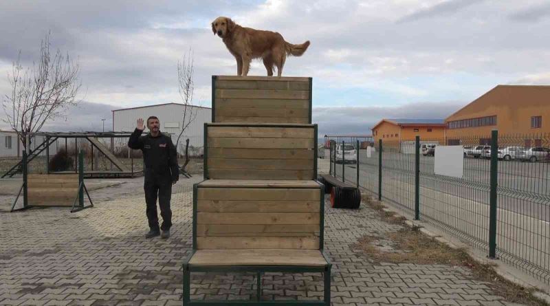  Afyonkarahisar’ın hassas burunları Türkiye’nin her yerinde görev yapıyor
