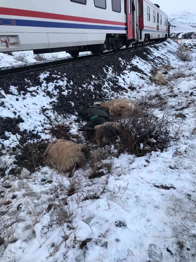 Erzincan’da trenin çarptığı çoban öldü
