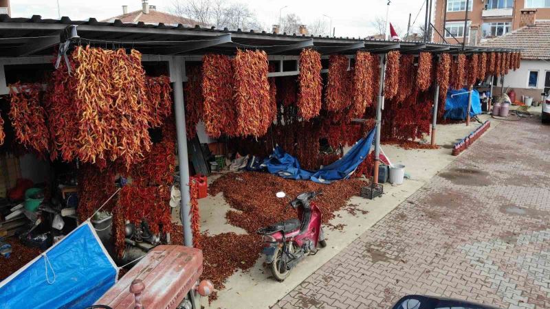 Karaağaç biberi kurutma mesaisinde sona gelindi
