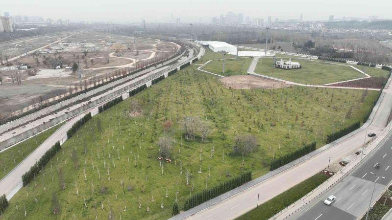 Doğal Yaşam ve Atatürk Çocukları Parkı’nın yapımı sürüyor
