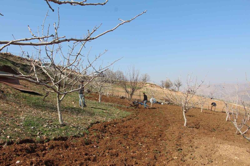 Siirt’te kuraklık endişesi çiftçileri korkutuyor
