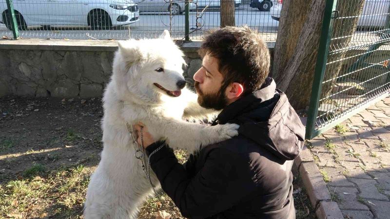 Mikro çip uygulamasının bitmesine bir gün kala Tarım İl Müdürlüğünde beyanname yoğunluğu
