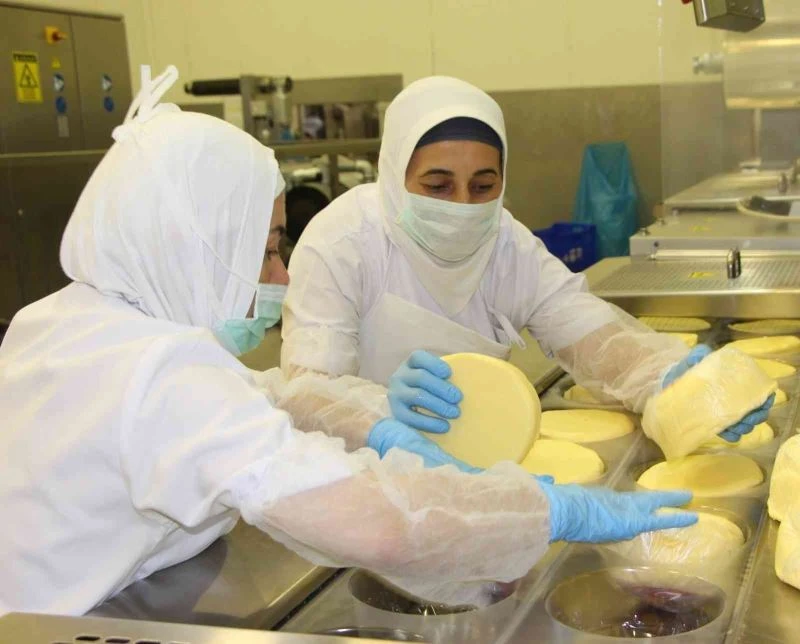 Kasım ayında fiyatı en fazla artan ürün tereyağı oldu
