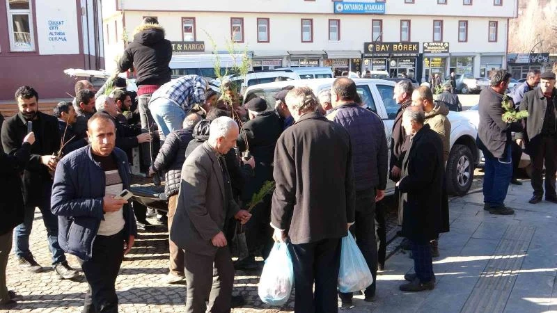 Gevaş’ta vatandaşlara fidan dağıtımı
