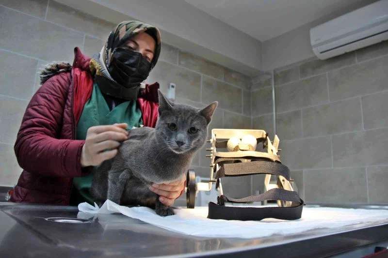 Bu merkezin Türkiye’de örneği yok
