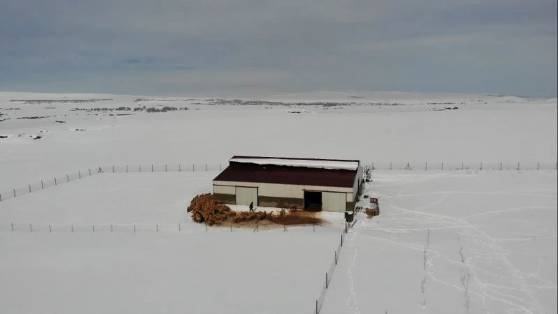 Besicinin 4 günlük esareti bitti
