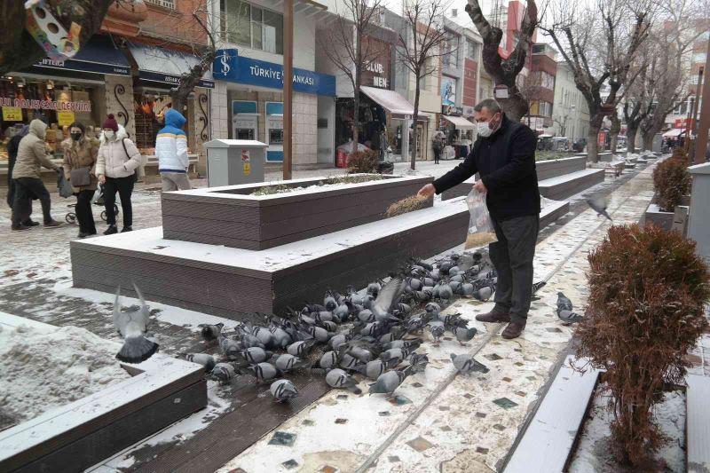 Güvercinler Hamamyolu’na her gün onun için geliyor
