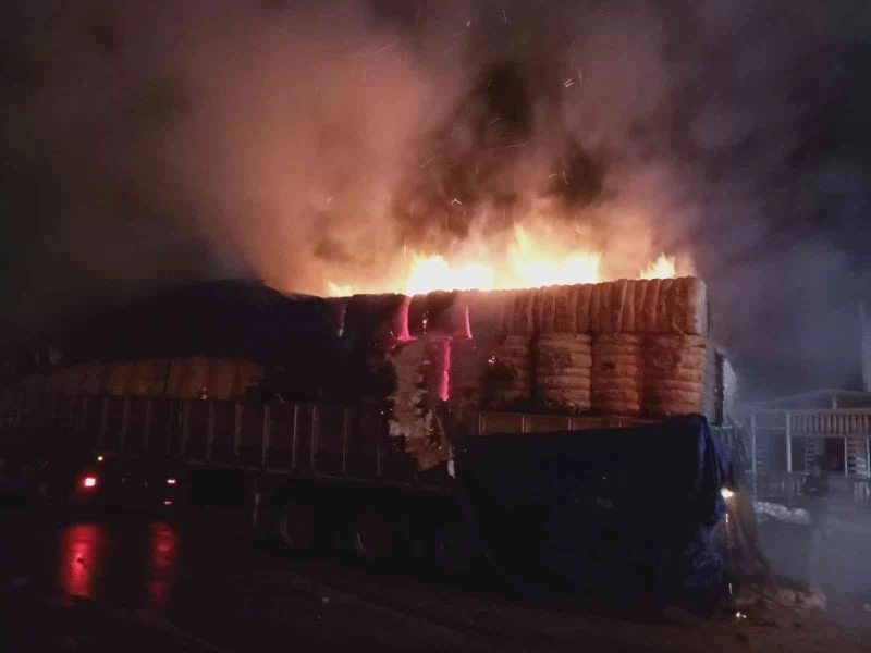 Pamuk yüklü tırın dorsesi alev alev yandı
