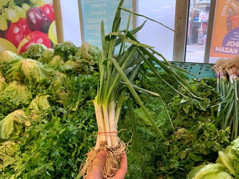 Taze soğanın tek bir dal fiyatı nerdeyse 1 lirayı buldu
