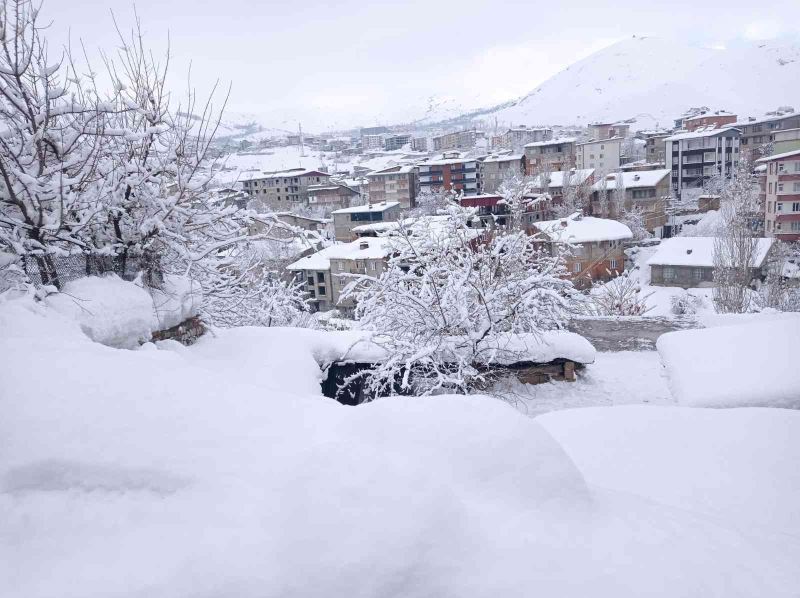 Hakkari’de 239 yerleşim yerinin yolu kapandı
