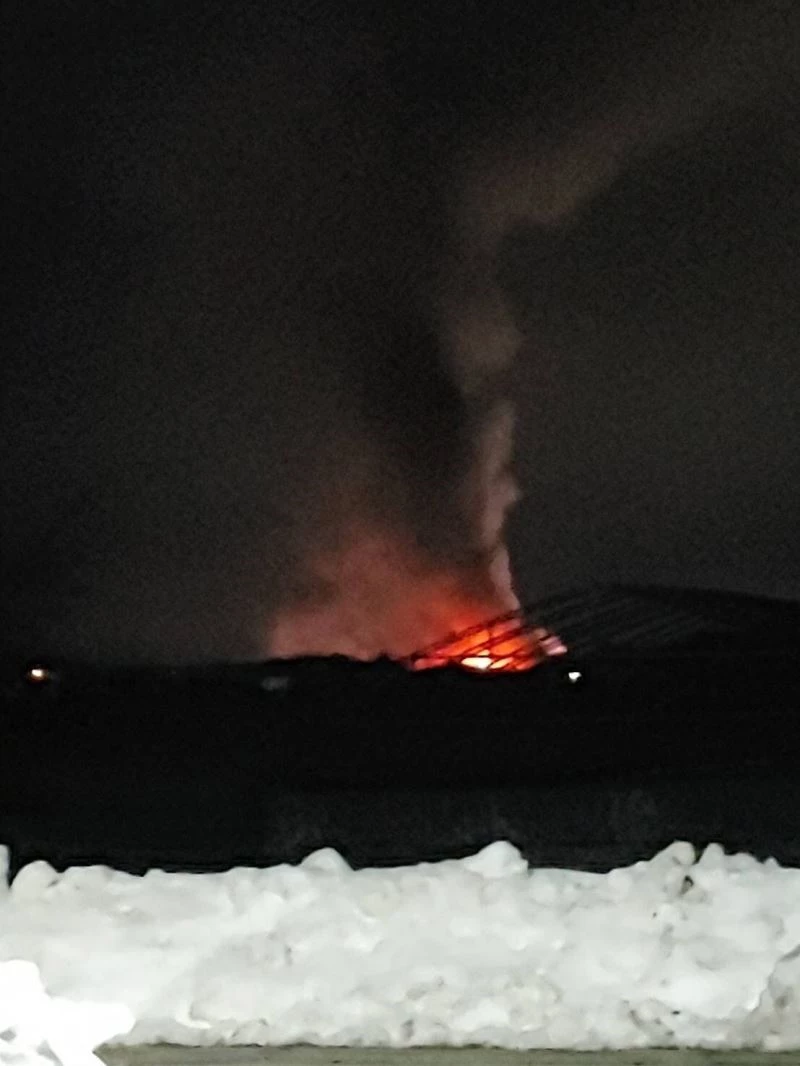 Japonya’da şekerleme fabrikasında feci yangın: 5 ölü
