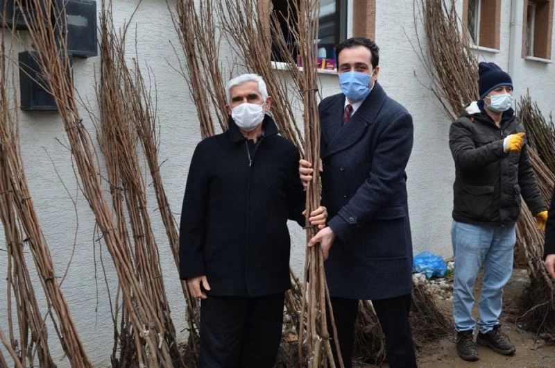 Çiftçilere 3 bin 350 adet cennet hurması ve incir fidanı ücretsiz dağıtıldı
