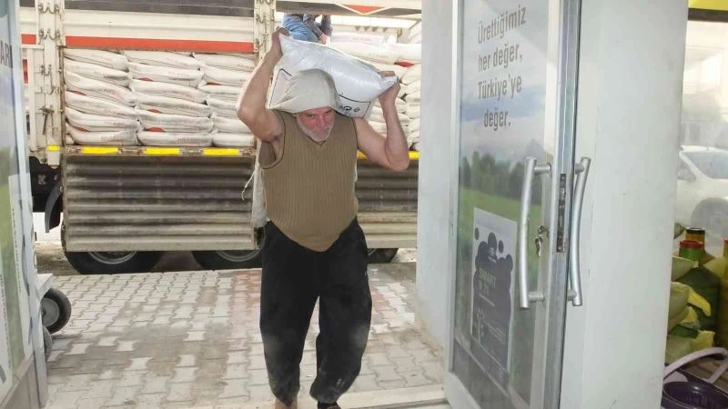 Burhaniye’de zeytinde gübreleme başladı
